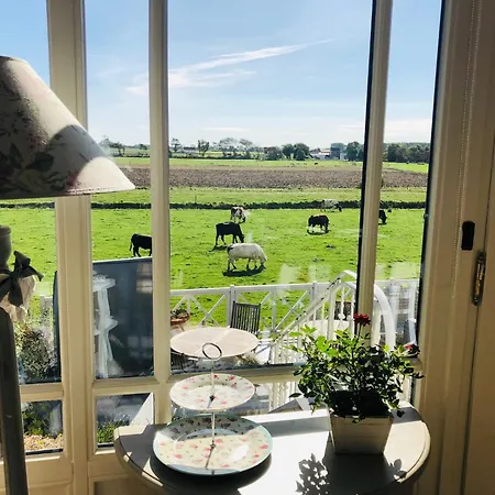 לינה וארוחת בוקר Het Zilte - Luxe Ontbijt - Gratis Parking - Westende